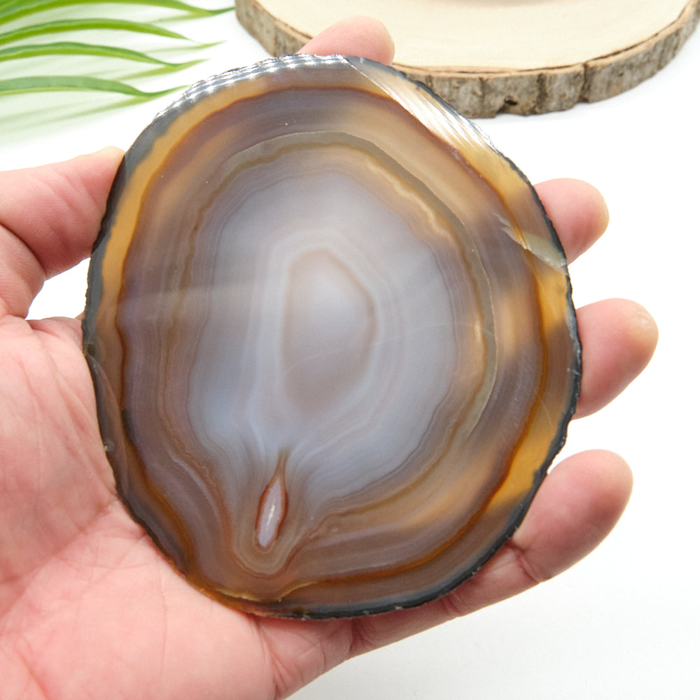 Large Natural Agate Slice With Stand