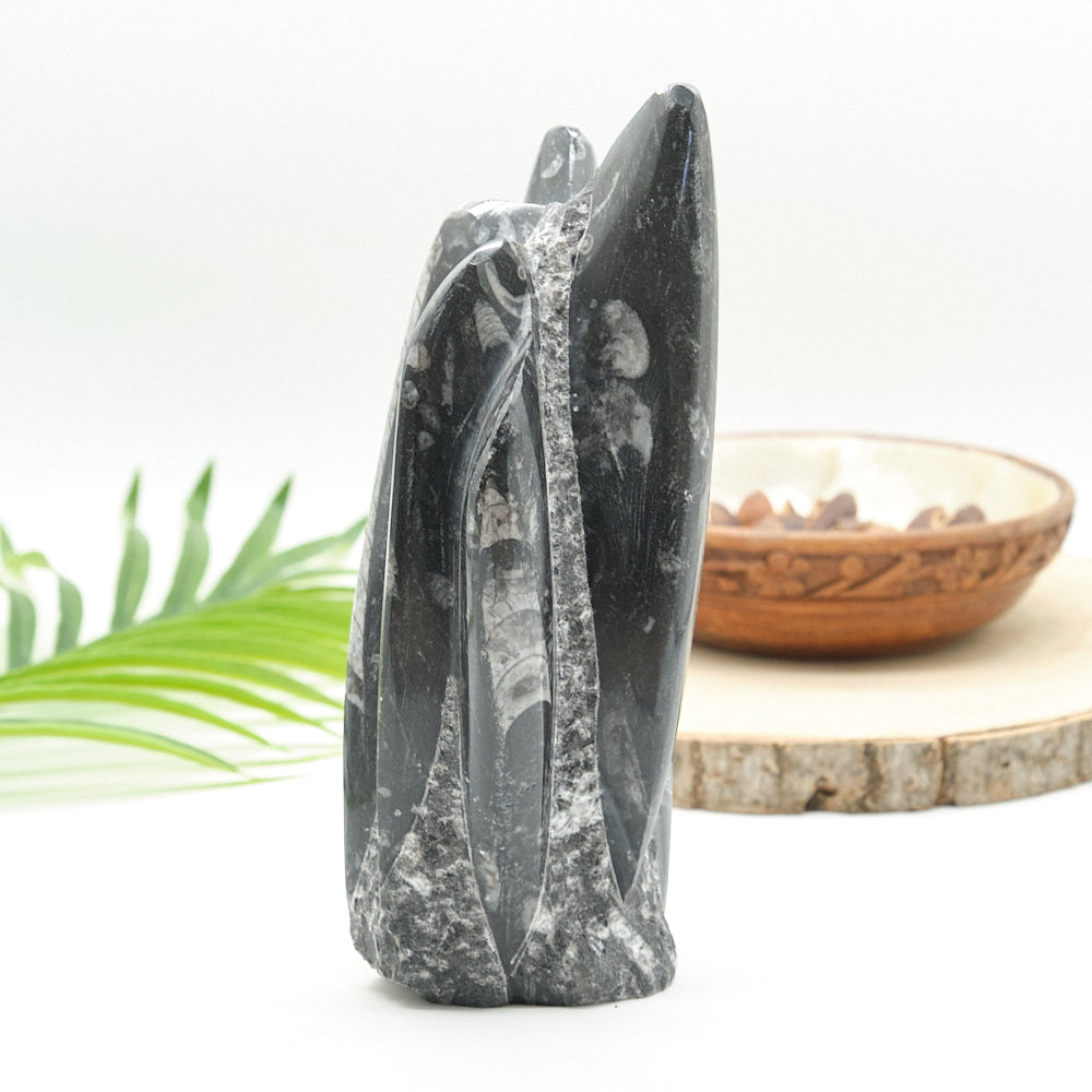 Large Orthoceras Sculpture
