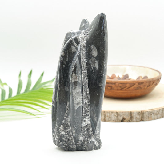 Large Orthoceras Sculpture