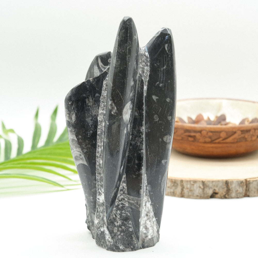Large Orthoceras Sculpture