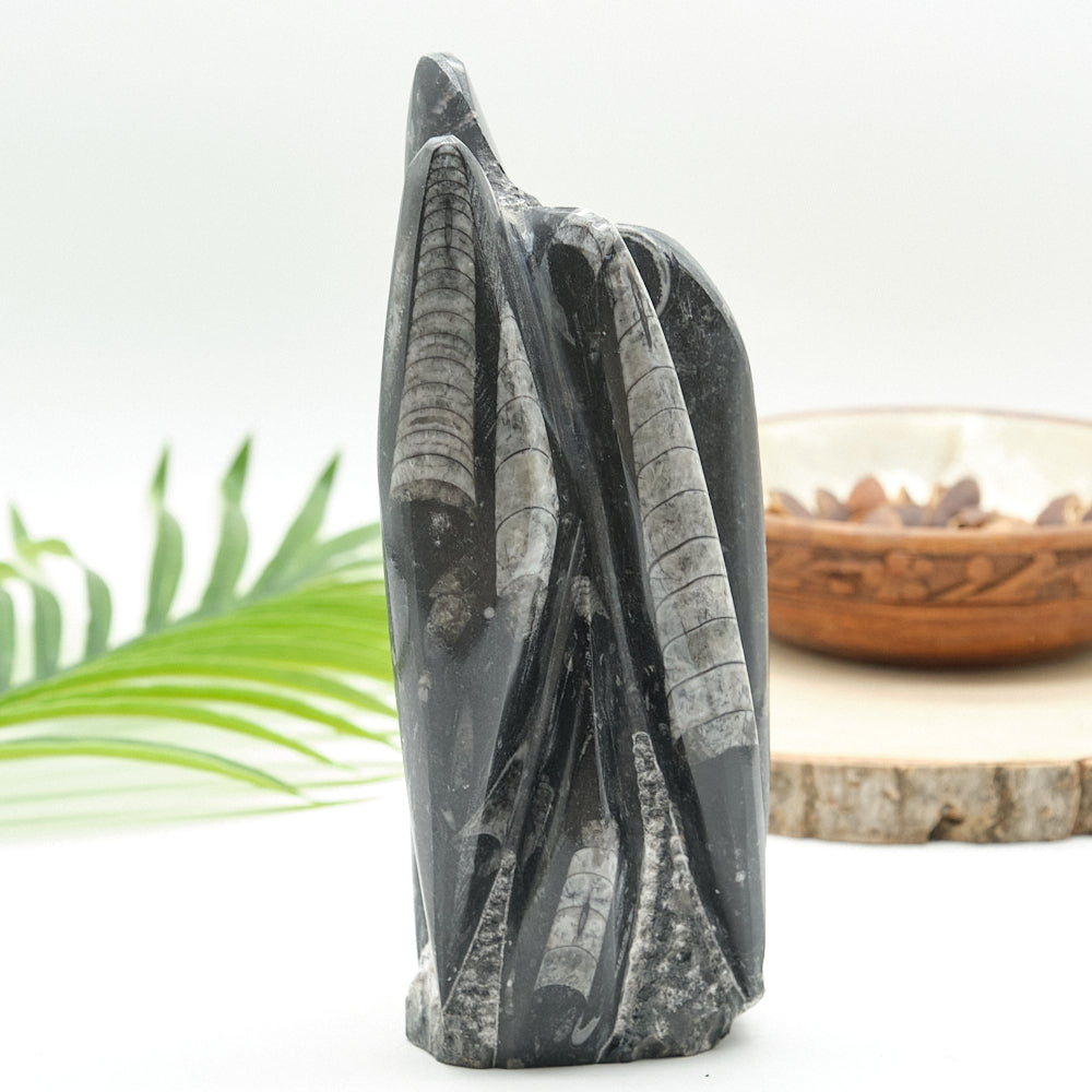 Large Orthoceras Sculpture