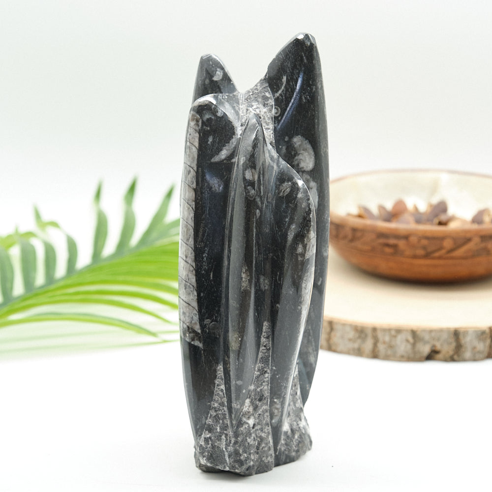 Large Orthoceras Sculpture