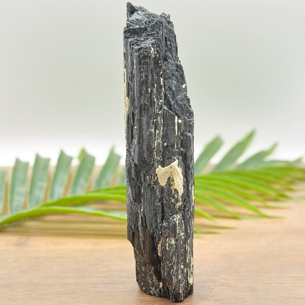 Large Rough Black Tourmaline Natural Rock 999g