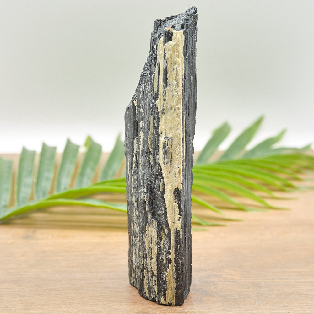 Large Rough Black Tourmaline Natural Rock 999g