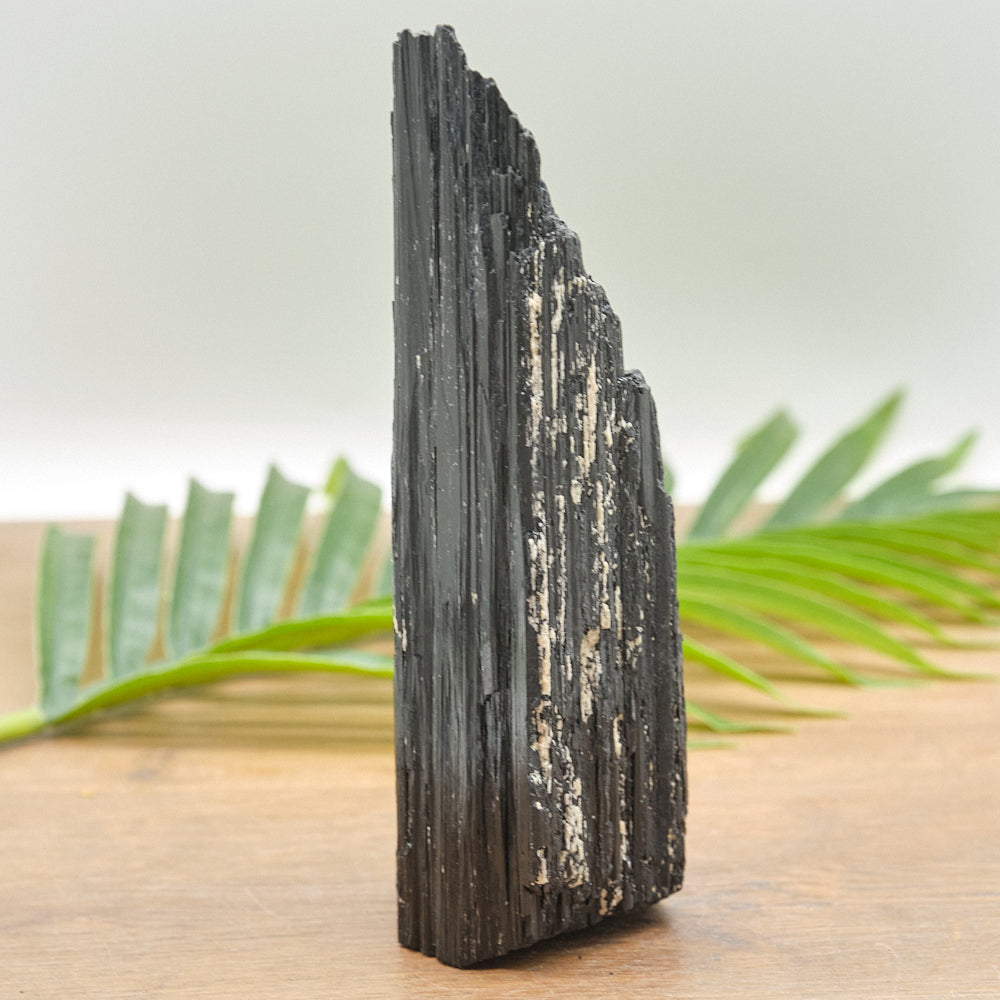 Large Rough Black Tourmaline Natural Rock 912g
