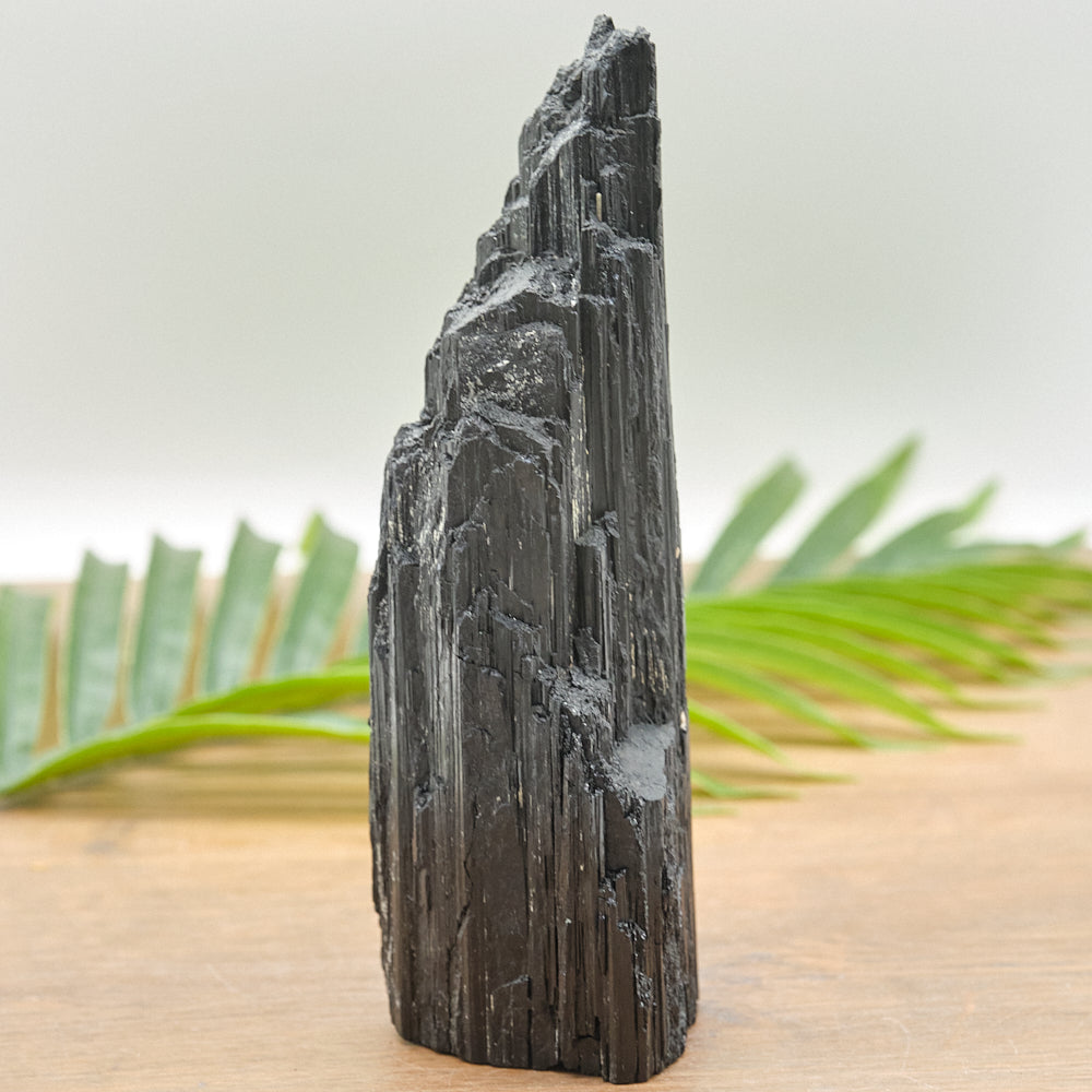 Large Rough Black Tourmaline Natural Rock 912g