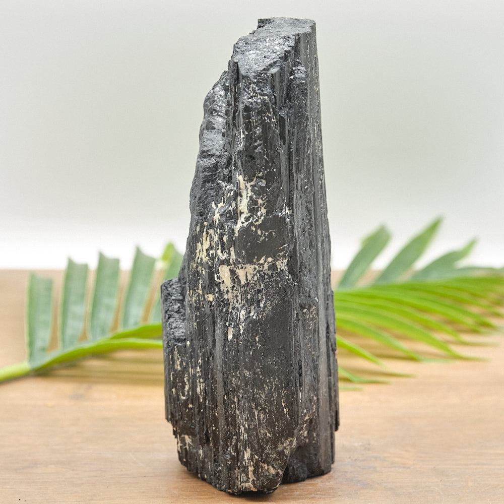 Large Rough Black Tourmaline Natural Rock 1852g