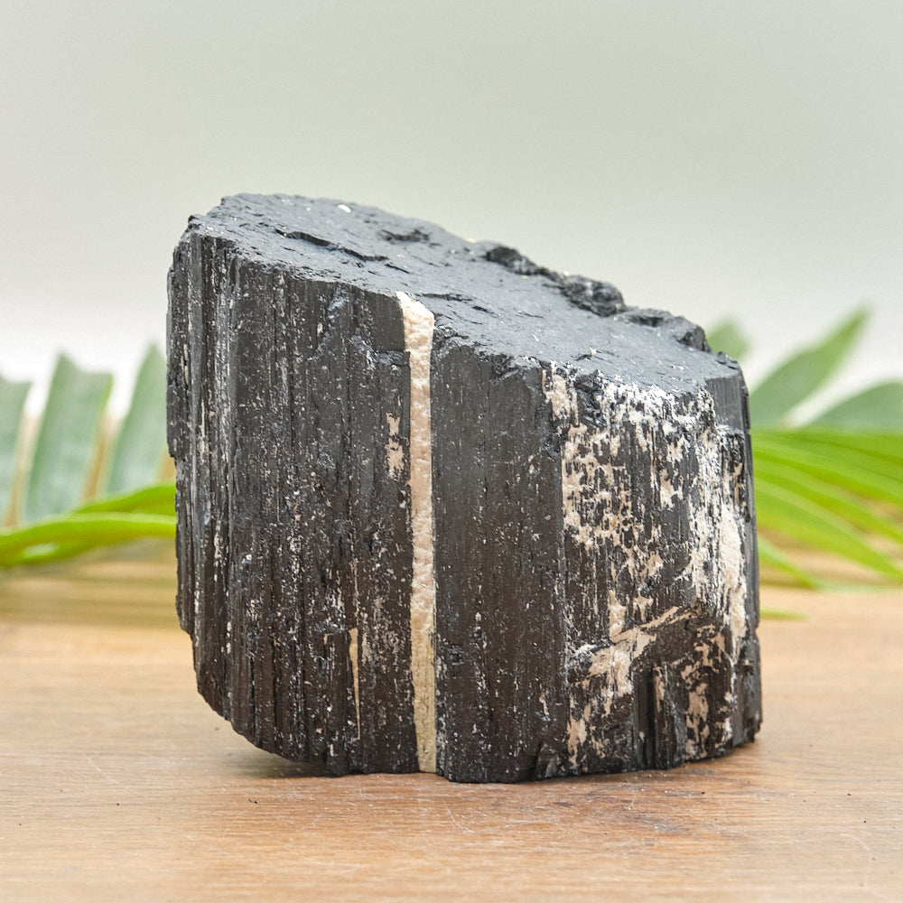 Large Rough Black Tourmaline Natural Rock 1225g