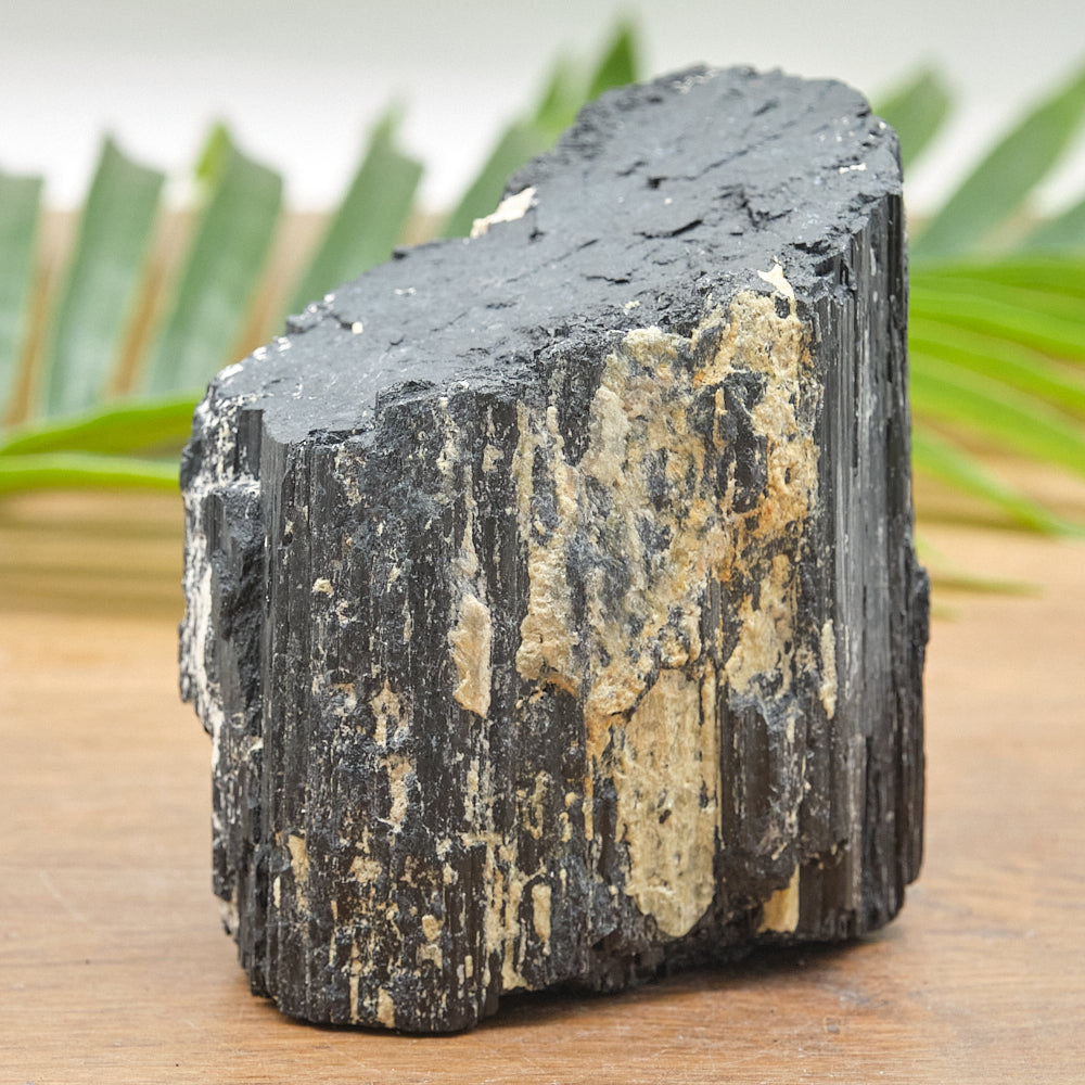 Large Rough Black Tourmaline Natural Rock 1225g