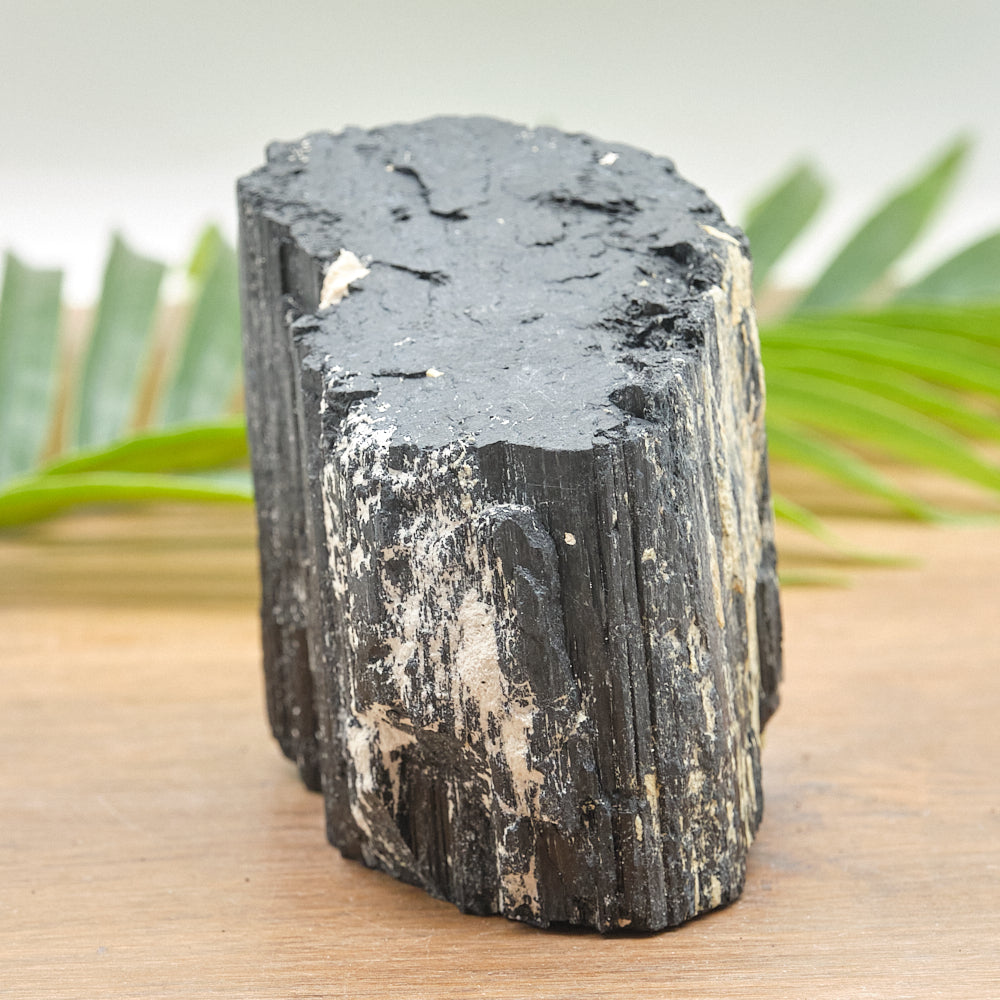 Large Rough Black Tourmaline Natural Rock 1225g