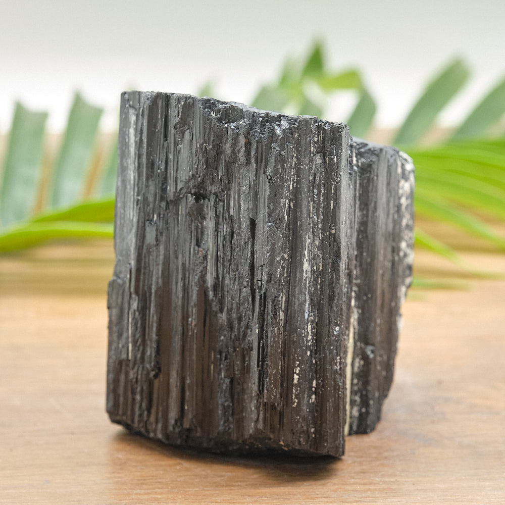 Large Rough Black Tourmaline Natural Rock 1225g