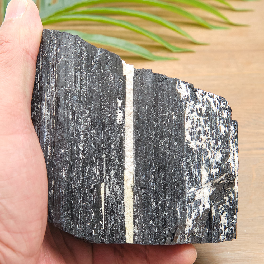Large Rough Black Tourmaline Natural Rock 1225g