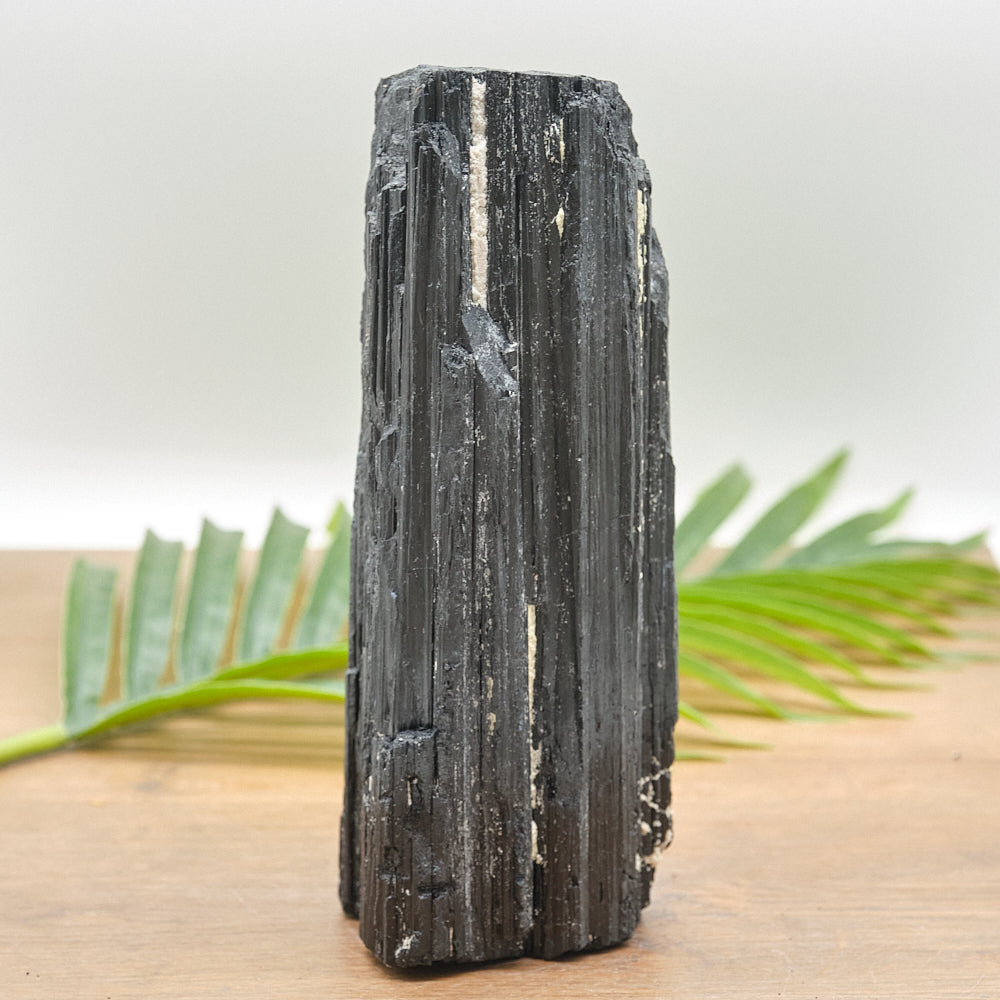 Large Rough Black Tourmaline Natural Rock 2076g