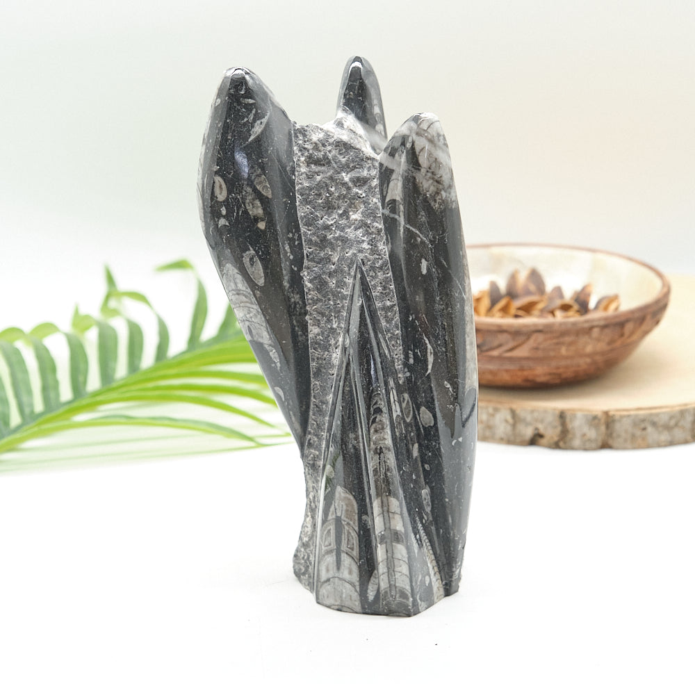 Large Orthoceras Sculpture 20cm