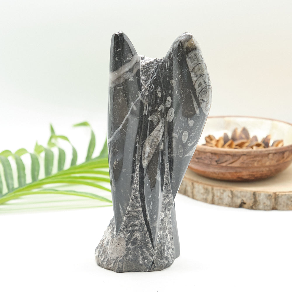 Large Orthoceras Sculpture 20cm