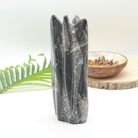 Large Orthoceras Sculpture 21cm