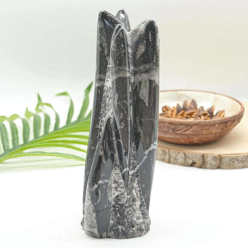 Large Orthoceras Sculpture 21cm