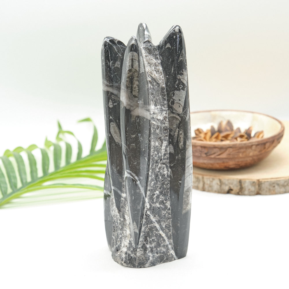 Large Orthoceras Sculpture 21cm