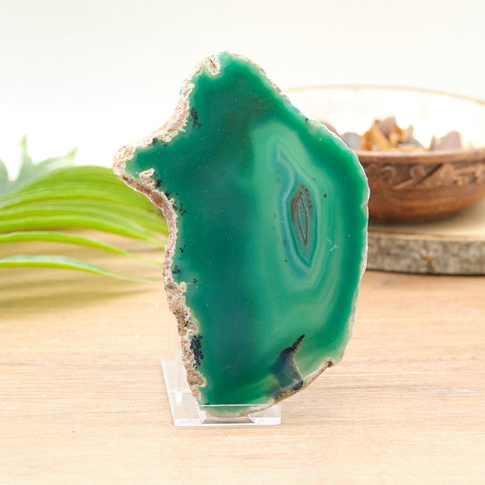 Large Green Agate Slice With Stand
