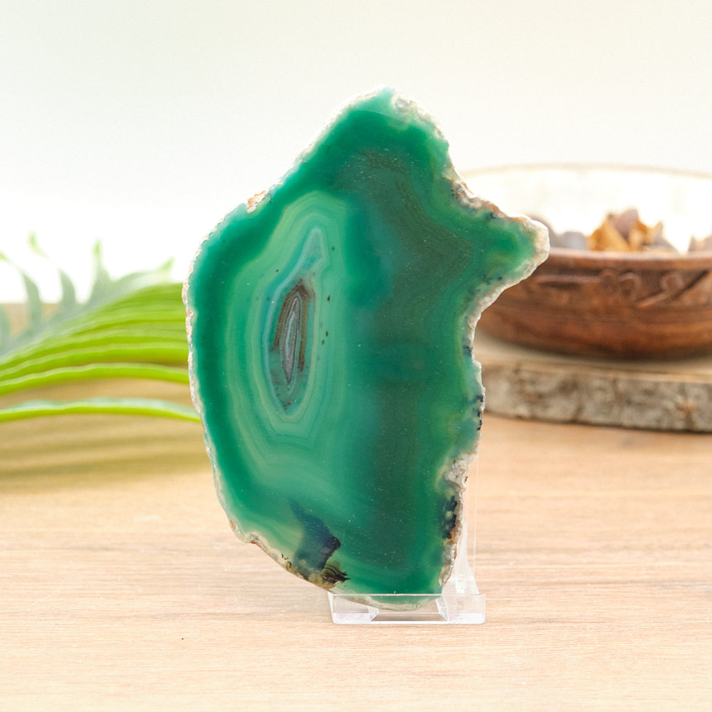 Large Green Agate Slice With Stand