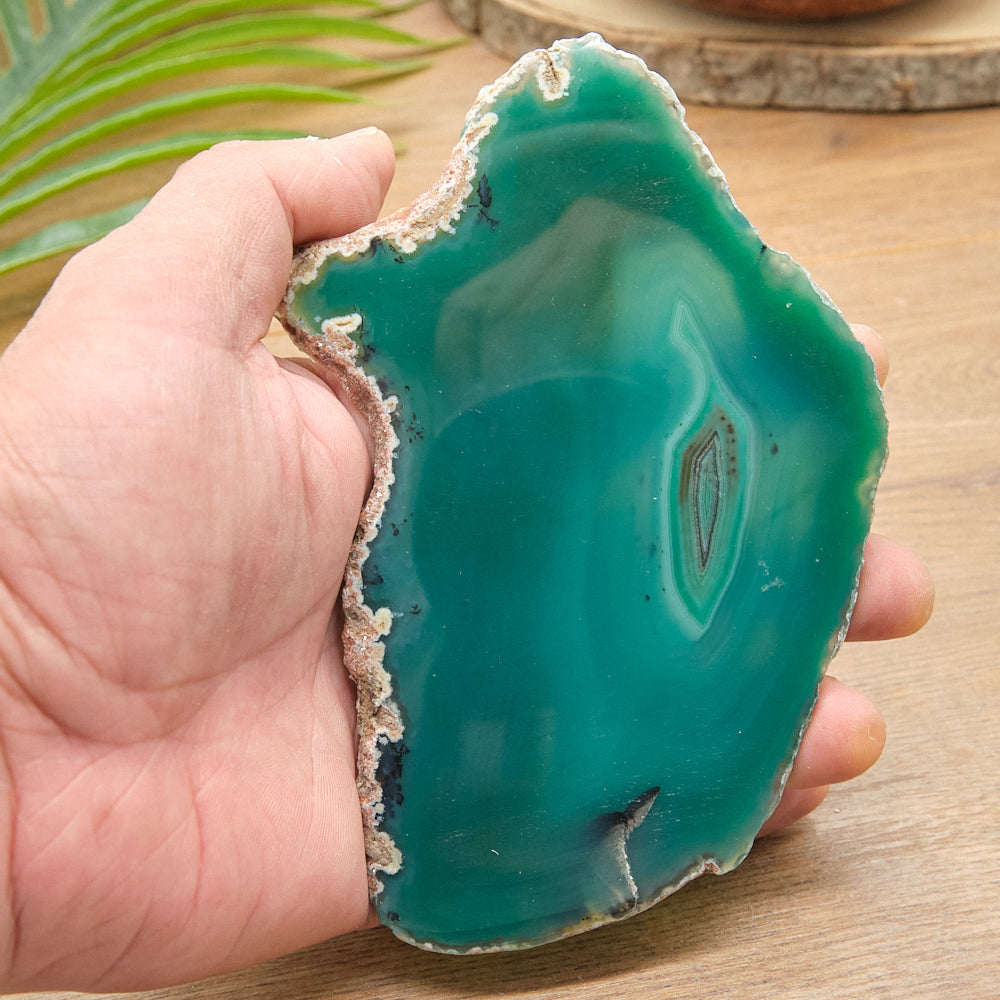 Large Green Agate Slice With Stand