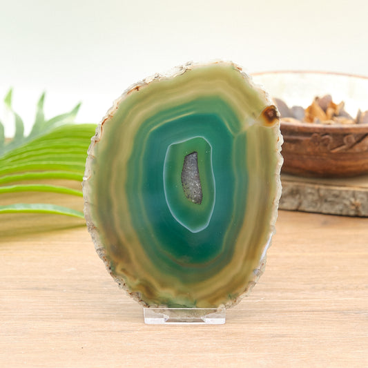 Large Green Agate Slice With Stand