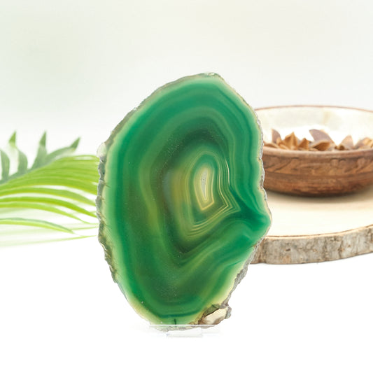 Large Green Agate Slice With Stand