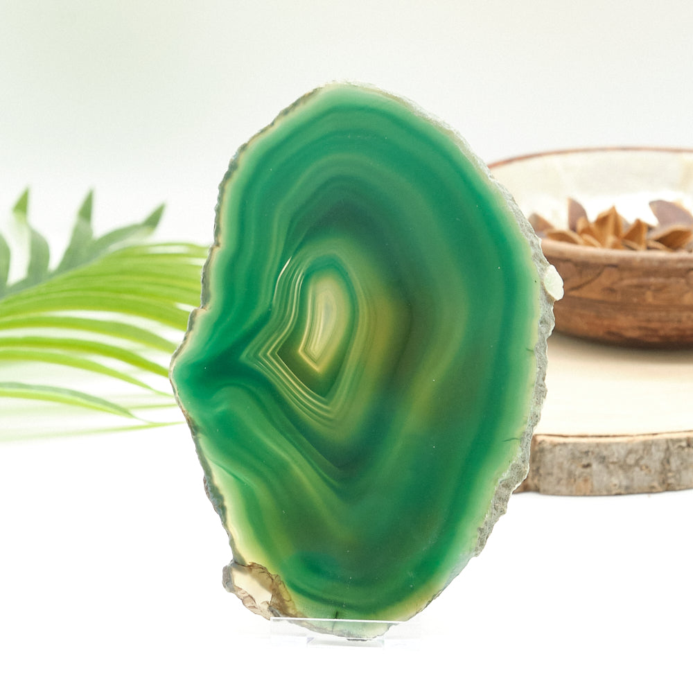 Large Green Agate Slice With Stand