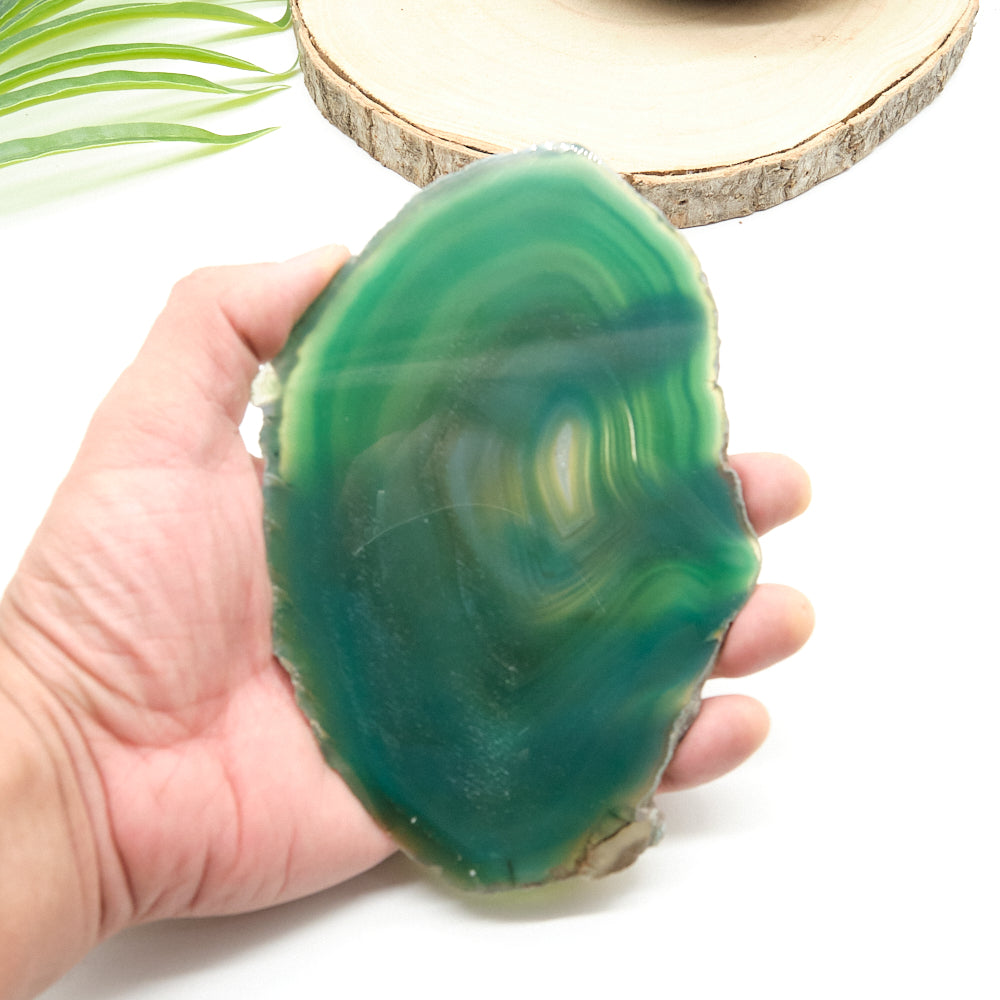 Large Green Agate Slice With Stand