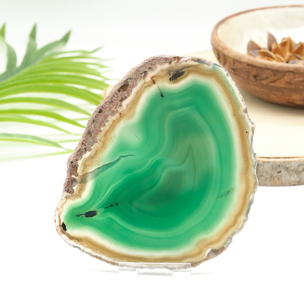 Large Green Agate Slice With Stand