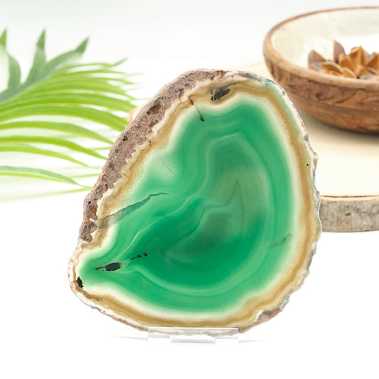 Large Green Agate Slice With Stand