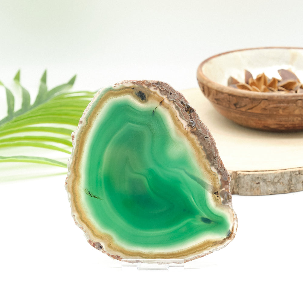 Large Green Agate Slice With Stand