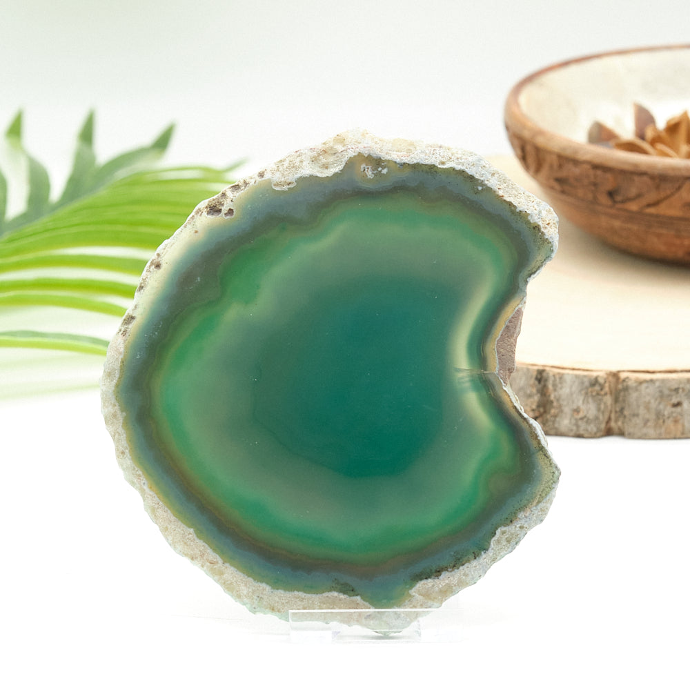 Large Green Agate Slice With Stand