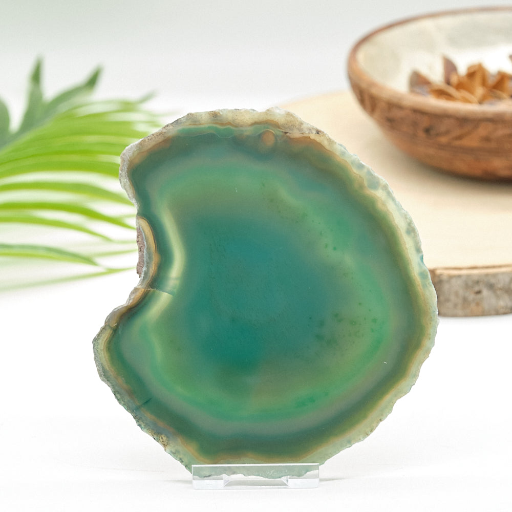 Large Green Agate Slice With Stand