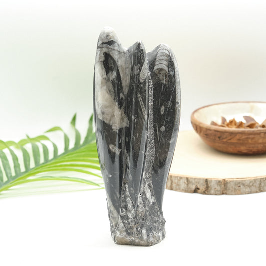 Large Orthoceras Sculpture 21cm