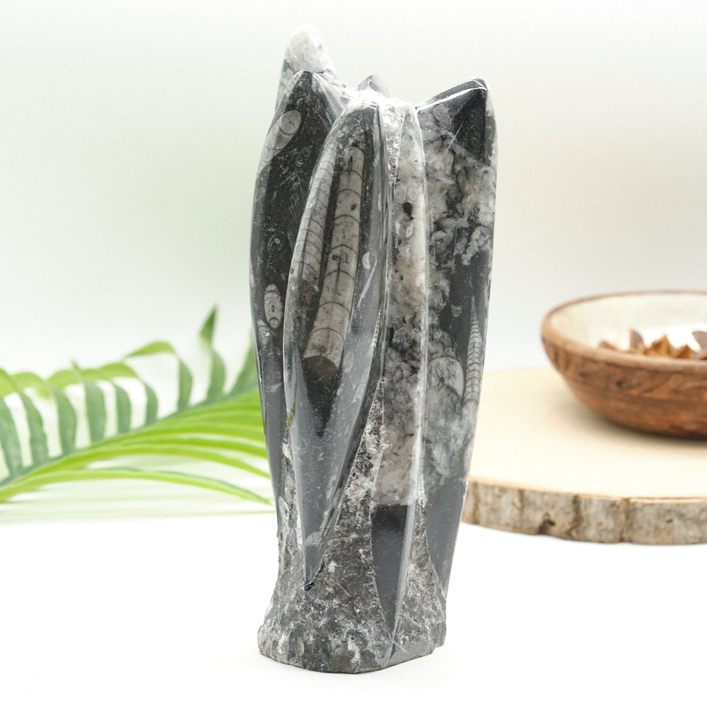 Large Orthoceras Sculpture 21cm