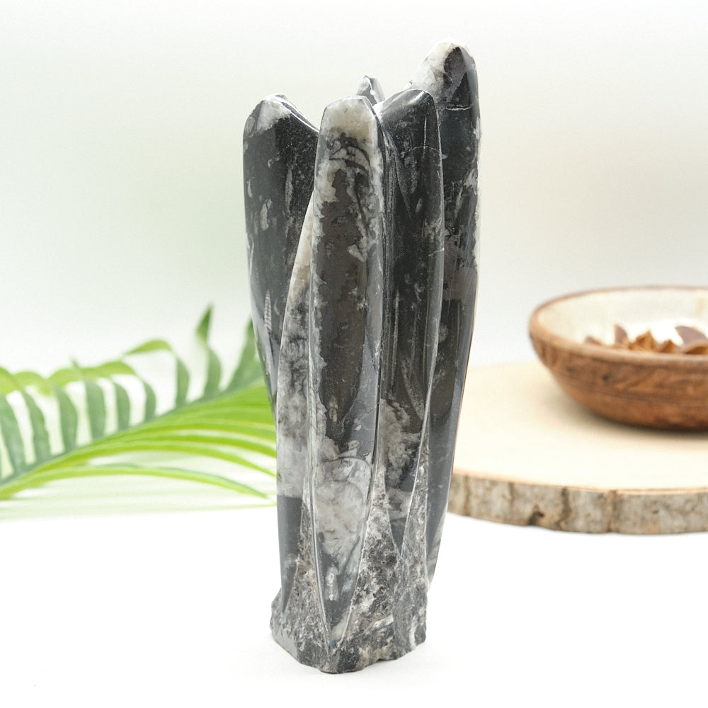 Large Orthoceras Sculpture 21cm