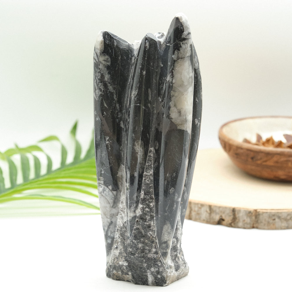 Large Orthoceras Sculpture 21cm