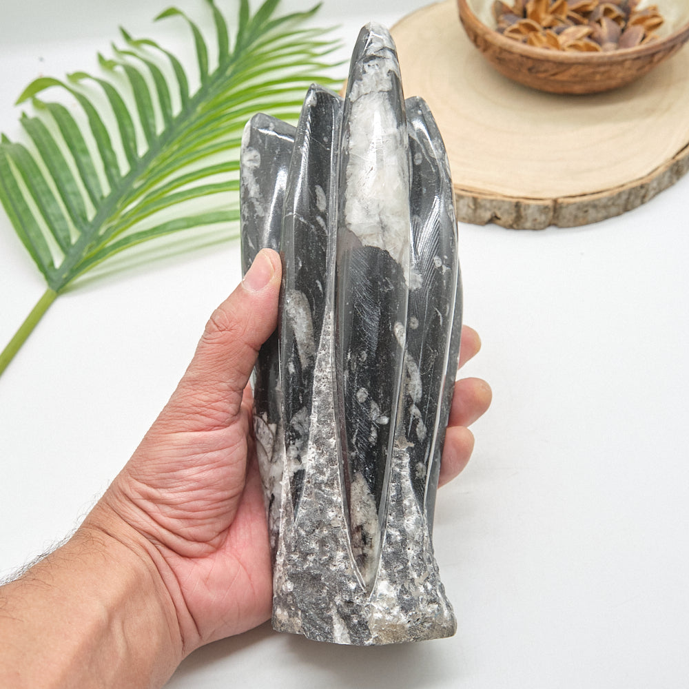 Large Orthoceras Sculpture 21cm