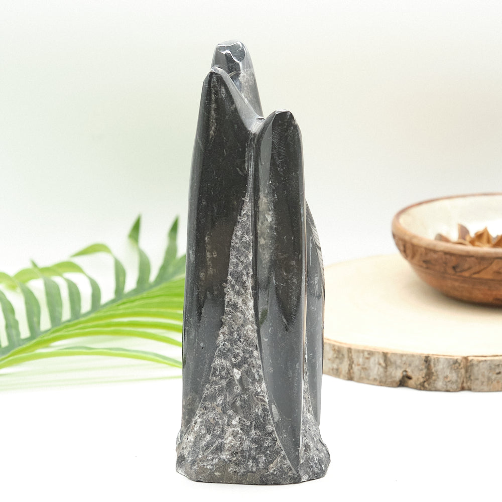 Large Orthoceras Sculpture 19cm