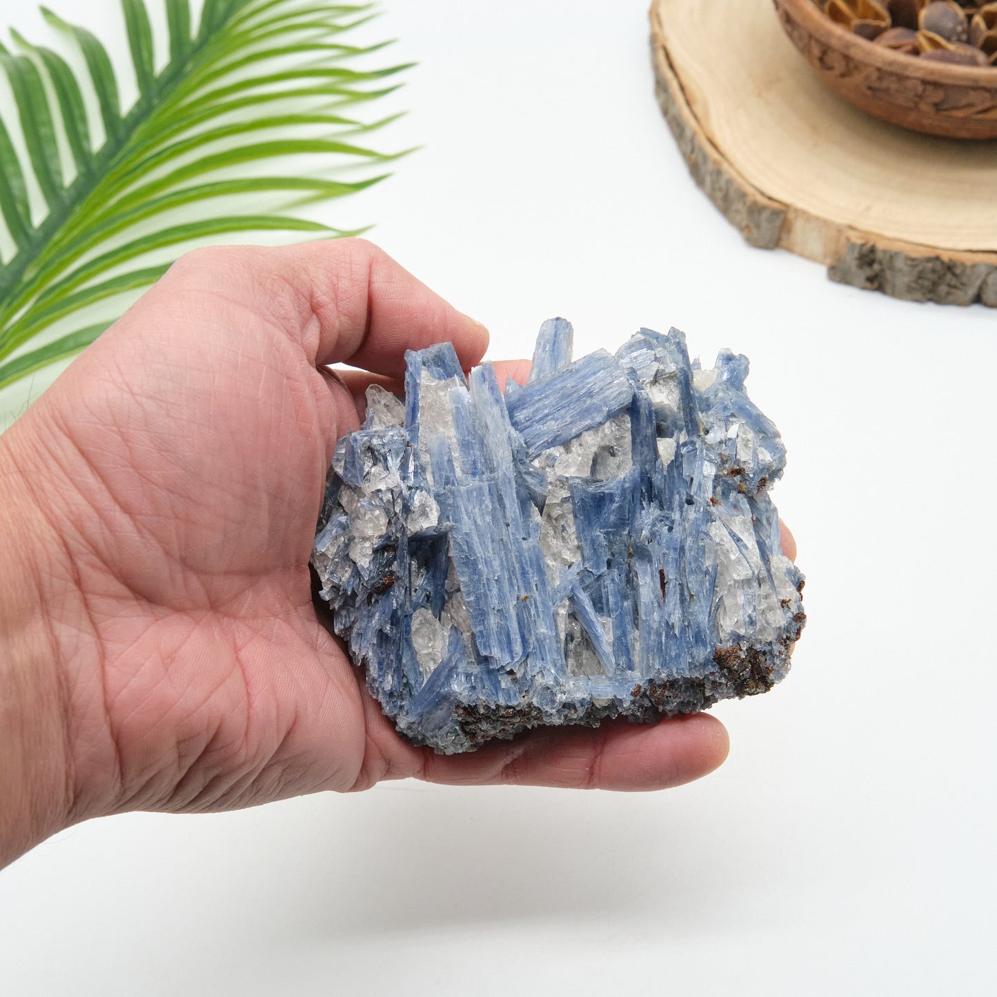 raw blur kyanite cluster with quartz 