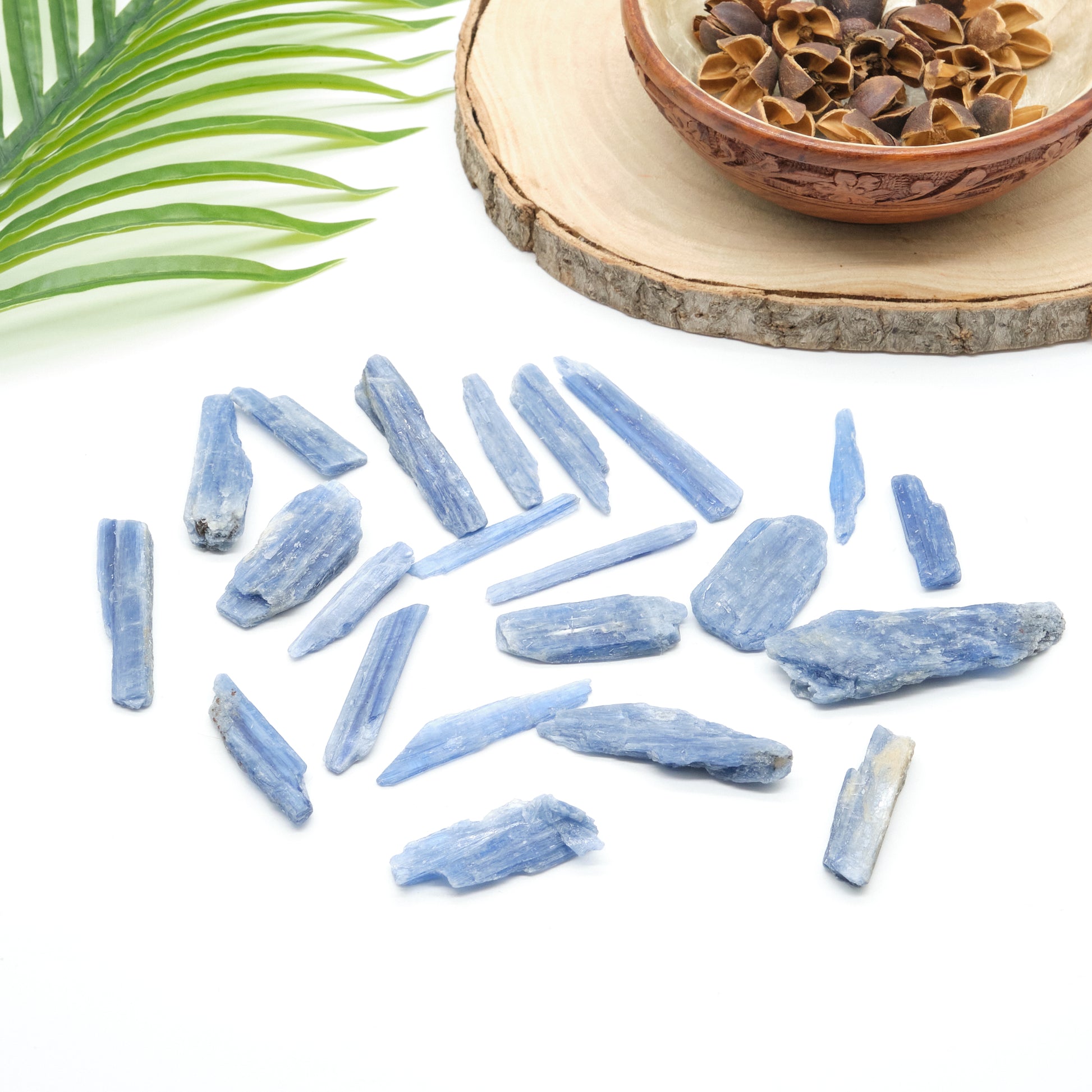 raw blue kyanite blade crystals from brazil