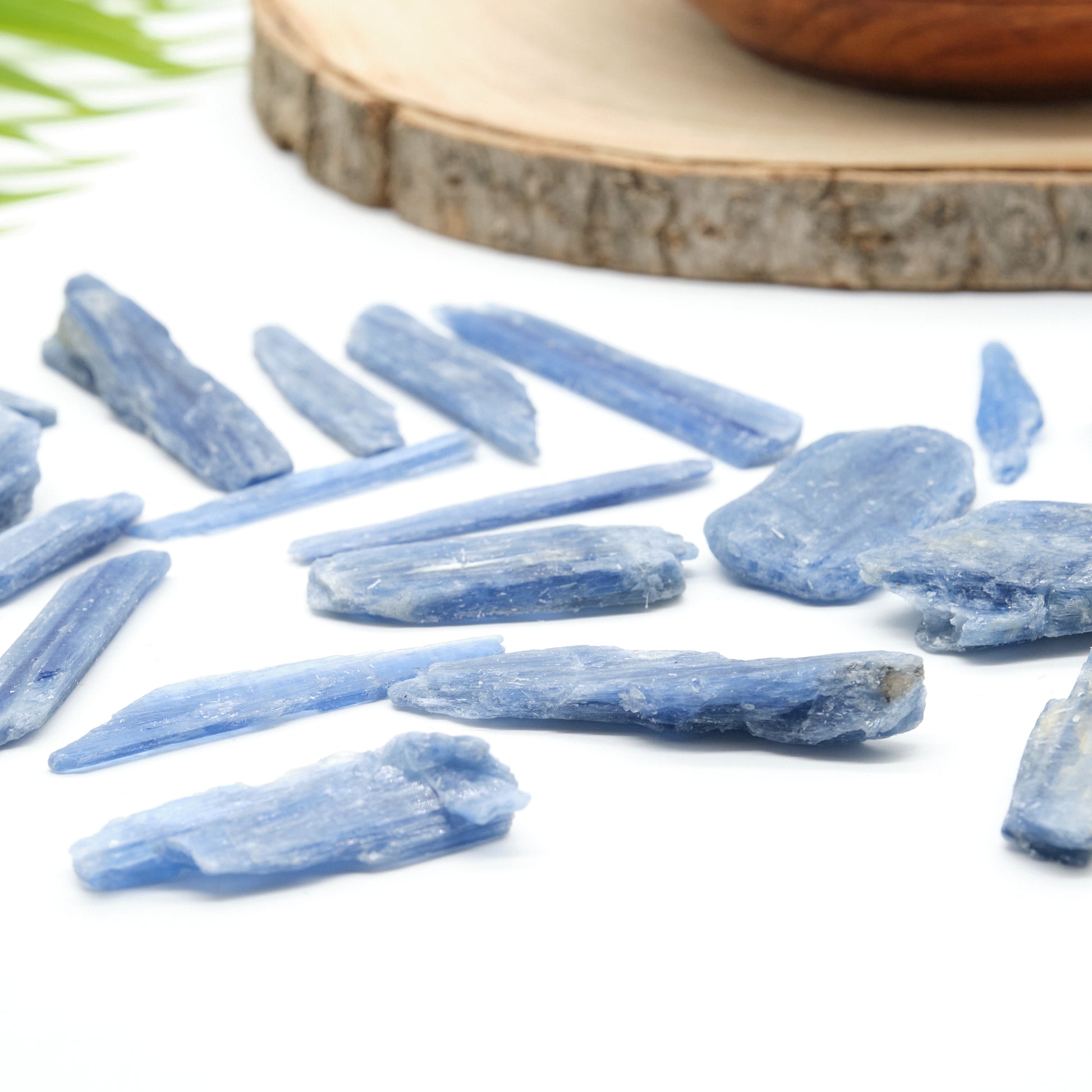 raw blue kyanite blade crystals from brazil