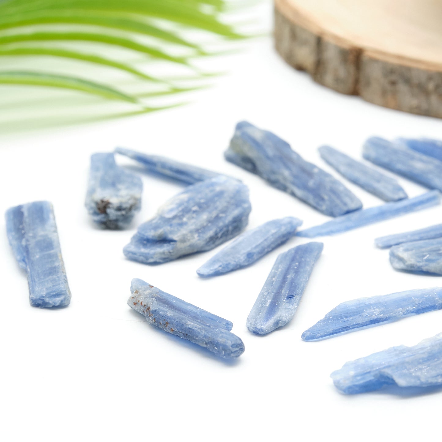 raw blue kyanite blade crystals from brazil