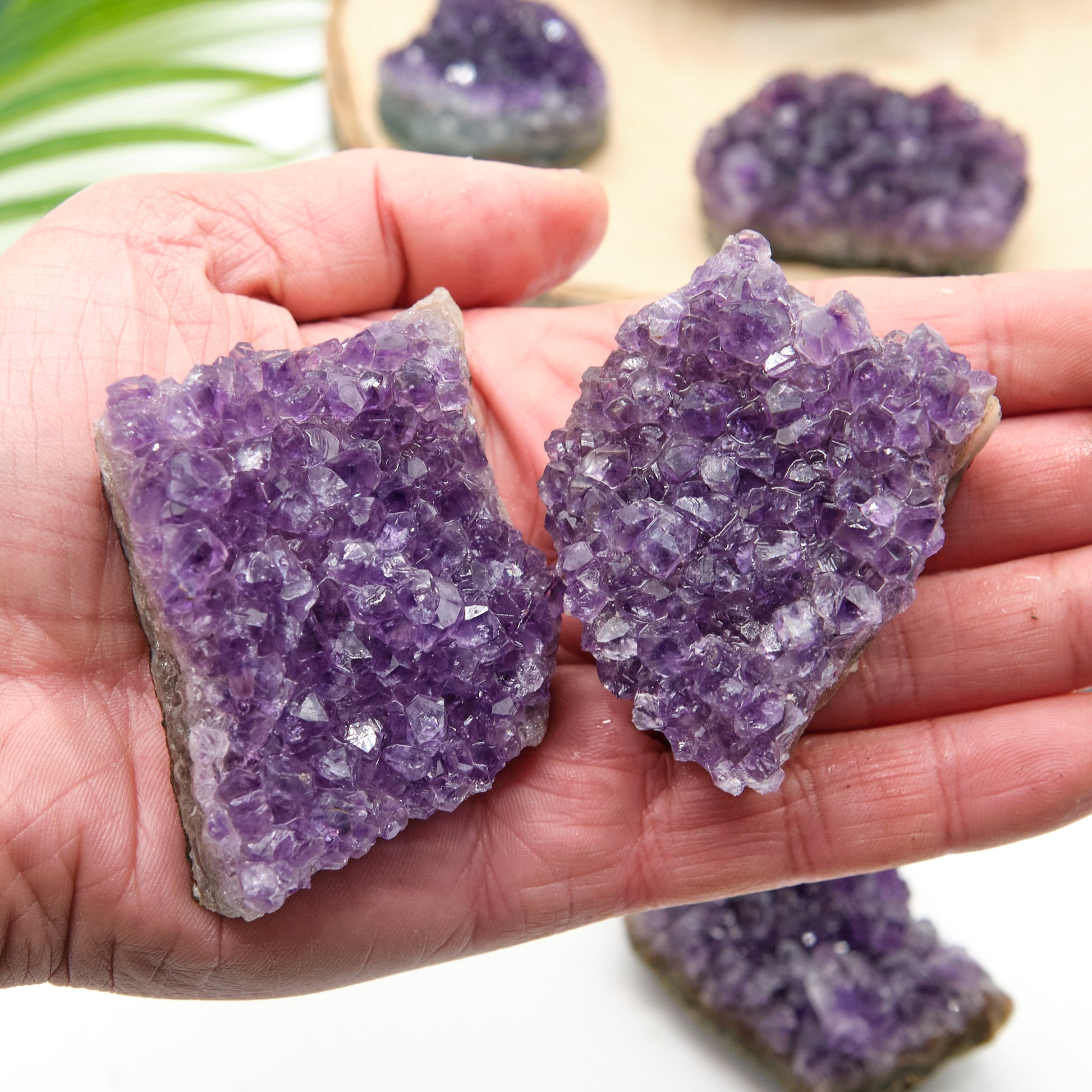 amethyst crystal geode druzy deep purple clusters from uruguay grade aa