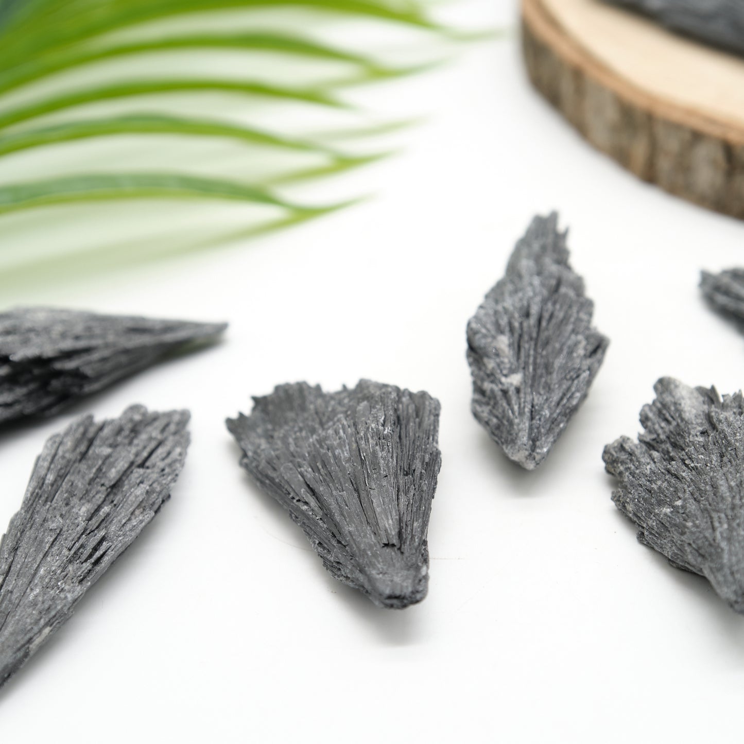 Large Rough Black Kyanite Fan/Cluster Crystal 8-10cm