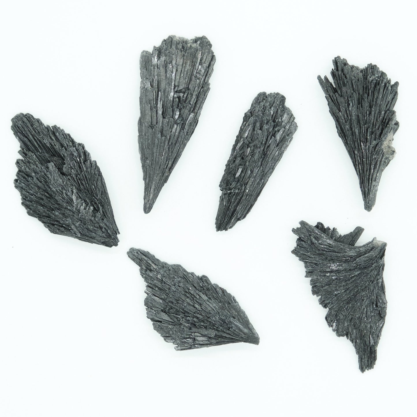 Large Rough Black Kyanite Crystal 7-8cm  Pure Serenity   