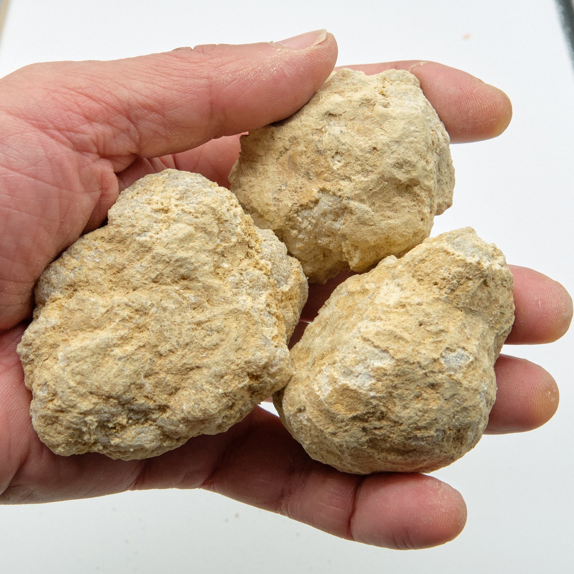 Small Unbroken White Quartz Geodes 4-6cm  Pure Serenity   