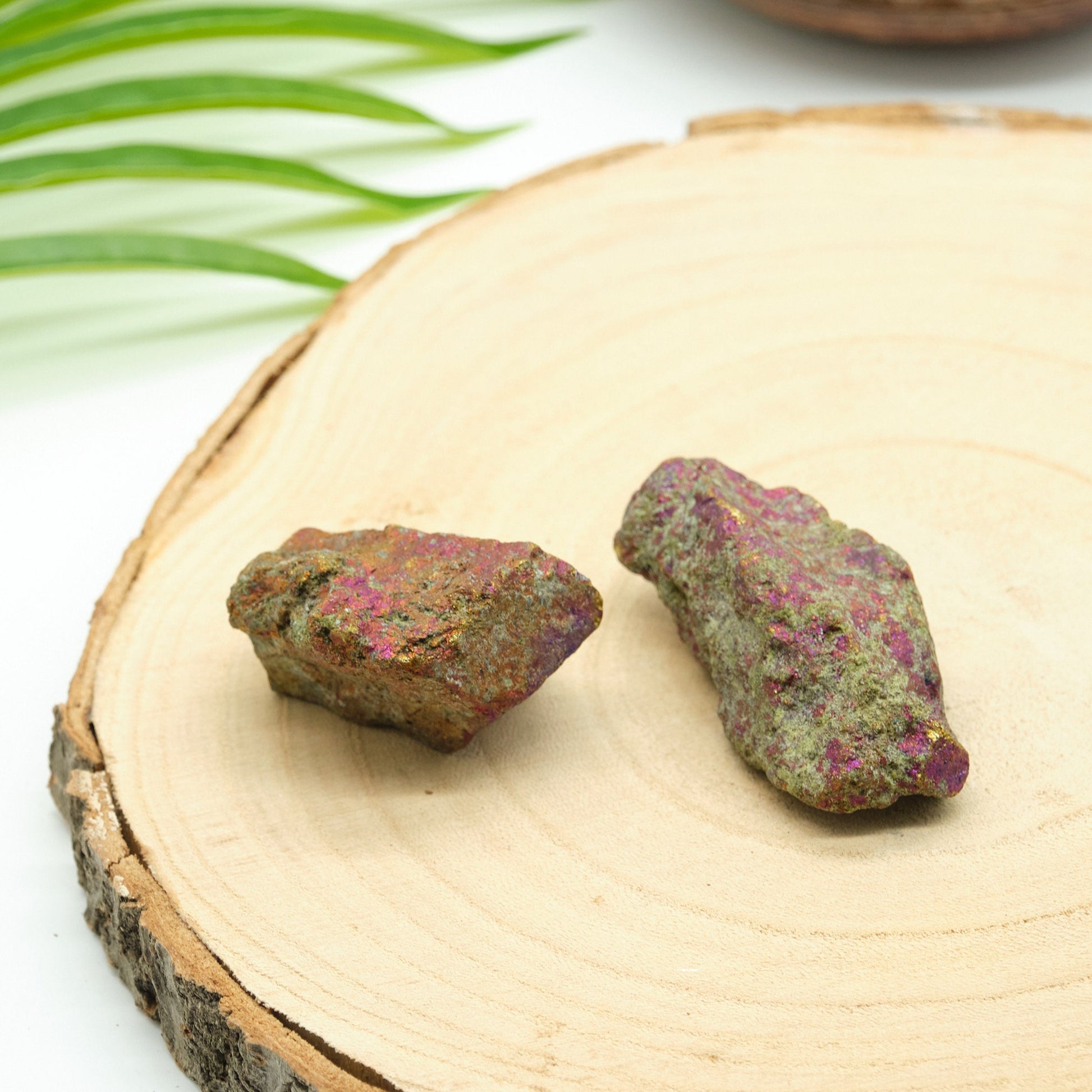 Natural Peacock Ore Chalcopyrite  2 Pieces  Pure Serenity   