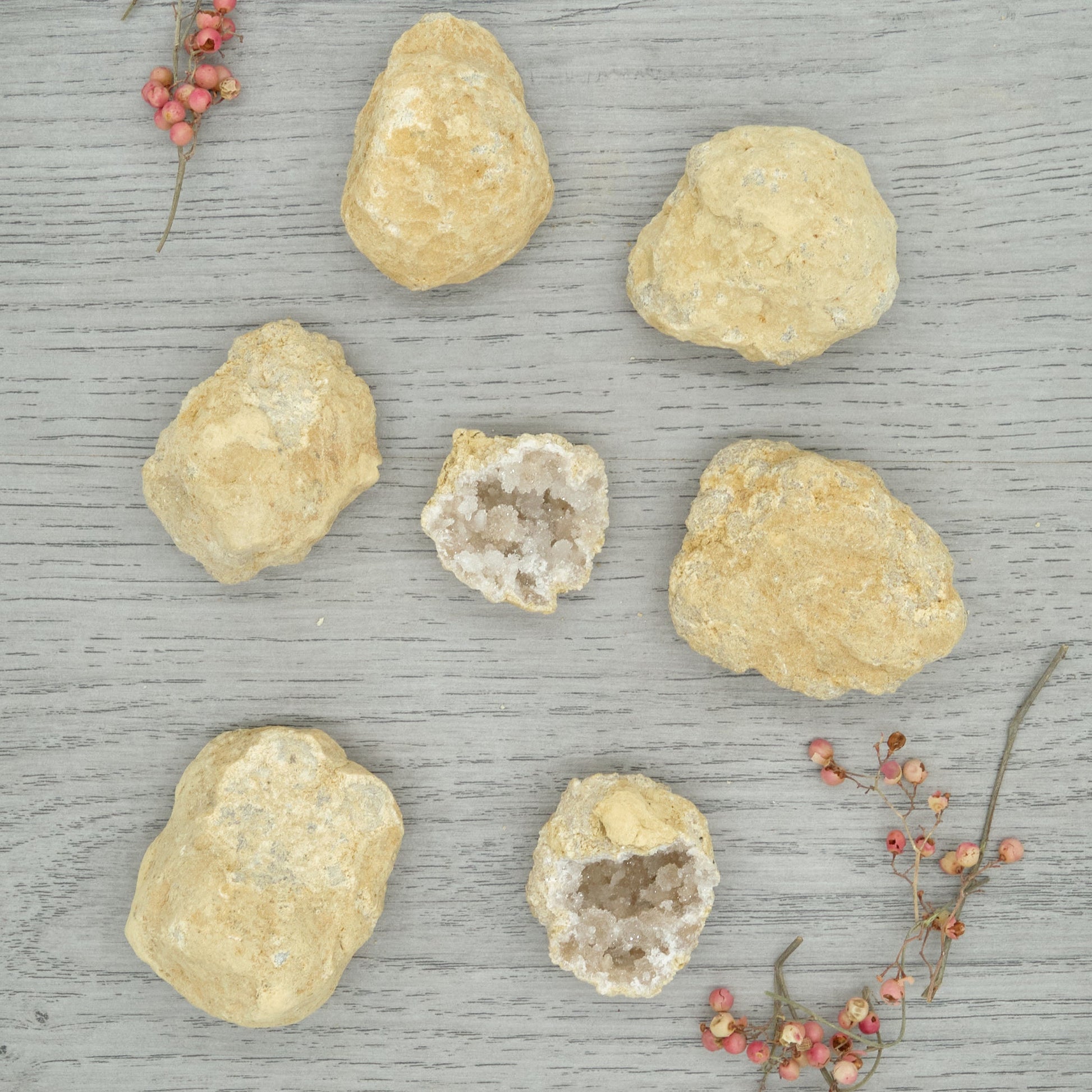 Small Unbroken White Quartz Geodes 4-6cm  Pure Serenity   